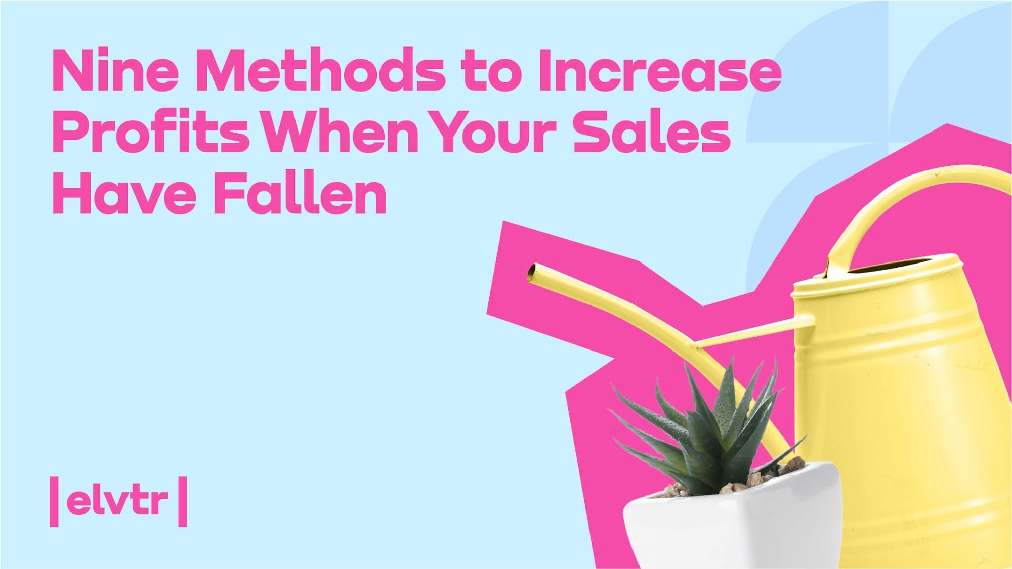 Nine Methods to Increase Profits When Your Sales Have Fallen