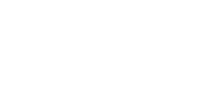 Motorsports Network logo